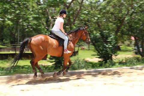 10 Horseback Riding Lessons For Kids and Adults in NYC