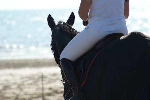 10 Horseback Riding Lessons For Kids and Adults in NYC