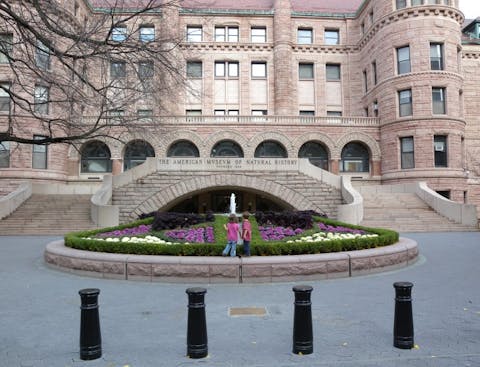 20 Things to Do in NYC with Toddlers