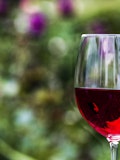 5 Best Red Wines Under $50