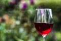 5 Best Red Wines Under $50