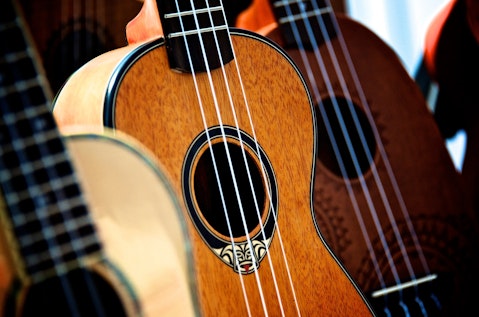 11 easiest instruments to learn for adults and retirees
