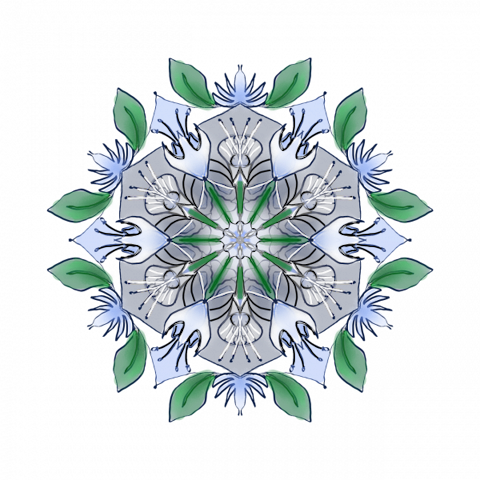 Best Classes Under $50 in Brooklyn