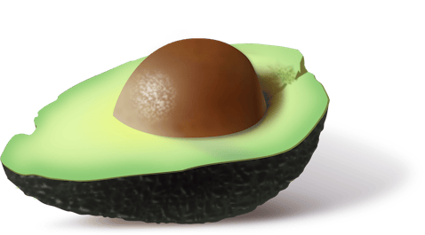 avocado, food
