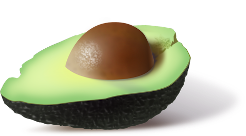avocado, food