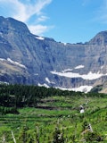 11 Easiest Hikes in Glacier National Park