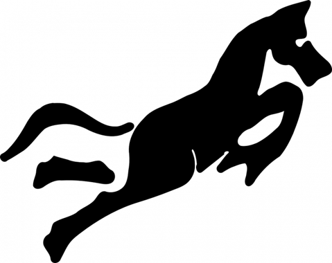 6 Most Popular, Powerful Chinese Zodiac Signs