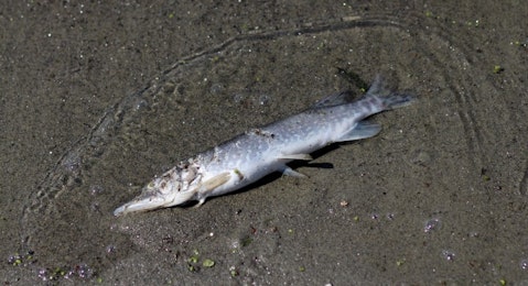 13 Most Water Polluted Countries with the Worst Pollution in the World