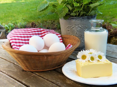 12 Countries with Highest Dairy Consumption and Low Osteoporosis Rates