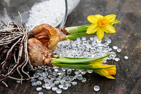 9 Most Profitable Fundraisers for Individuals