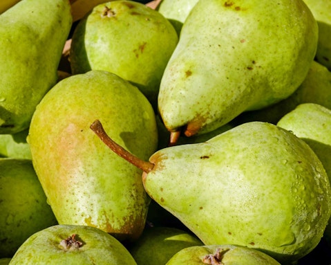 12 Most Popular, Best Selling Fruits in the World