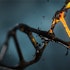 NeoGenomics (NEO): A Genomic Stock Worth Checking?
