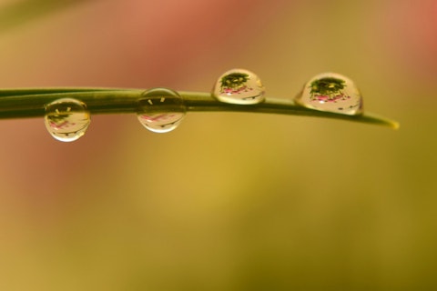 Rainiest Cities in the US in 2017