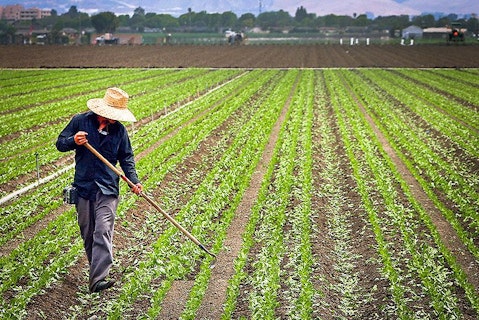 10 Best Vertical Farming and Hydroponic Stocks to Buy