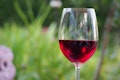 20 Best Red Wines Under $50