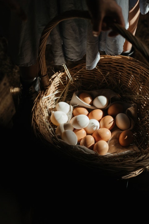 Diversification Eggs In A Basket