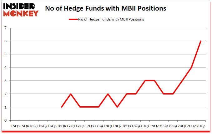 Is MBII A Good Stock To Buy?
