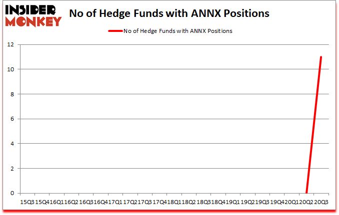 Is ANNX A Good Stock To Buy?