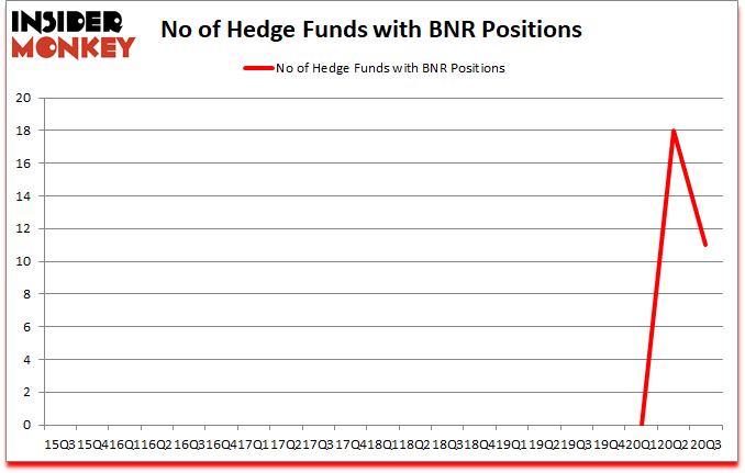 Is BNR A Good Stock To Buy?