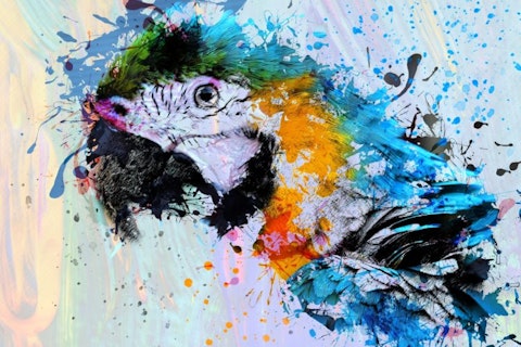 Parrot, Painting