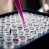 5 Most Promising Gene Editing Stocks According to Analysts
