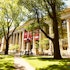 Harvard University Stock Portfolio: Top 10 Stock Picks