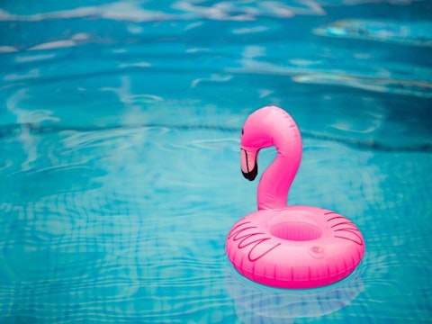Swimming Pool, Flamingo