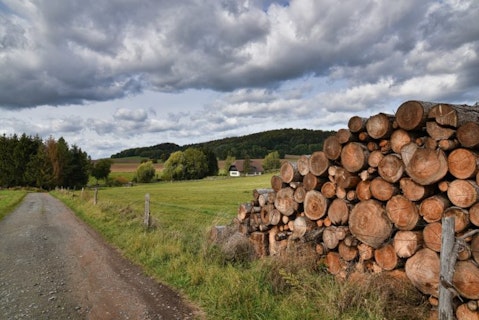 best lumber stocks to buy now