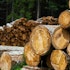 5 Best Lumber Stocks to Buy Now
