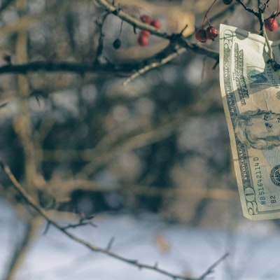 12 Best Multibagger Stocks to Buy Heading into 2026