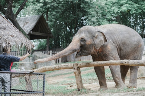 25 Best Zoos in the US