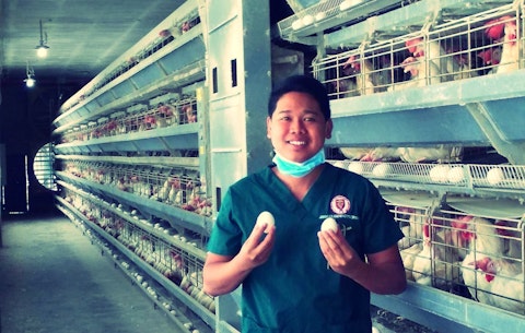 10 Highest Quality Egg Brands in the US