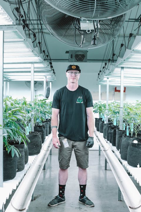 Best Socially Responsible Stocks to Buy According to Analysts