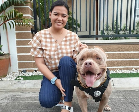 25 Most Popular Dog Breeds in the World