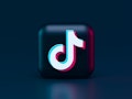 25 Most Liked Tiktok Videos in the World