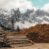 5 Biggest Lumber Companies in the World