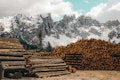 15 Biggest Lumber Companies in the World