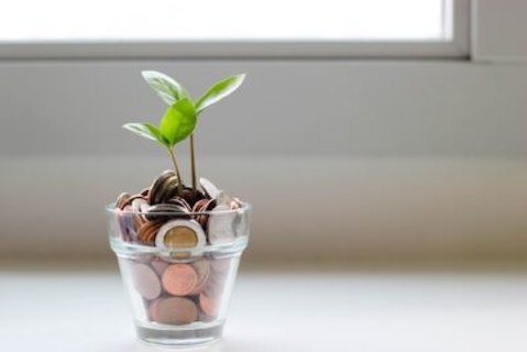 Green plant, Money, Coins