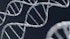 Applied DNA Sciences, Inc. (NASDAQ:APDN) Q1 2023 Earnings Call Transcript