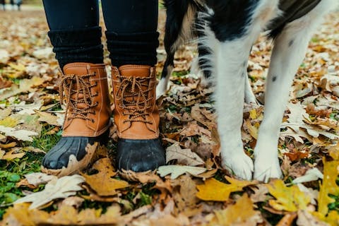 Footwear, Boots, Brand