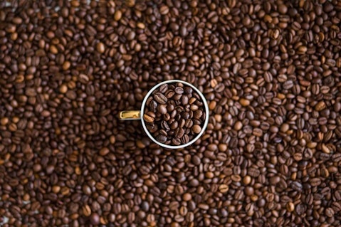 5 Best Gourmet Coffee Brands in the US