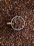 5 Best Coffee Beans for Beginners