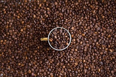 5 Best Coffee Beans for Beginners