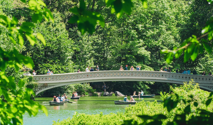 5 Top Tourists Attractions in the USA