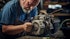 Should You Sell Genuine Parts Company (GPC)?
