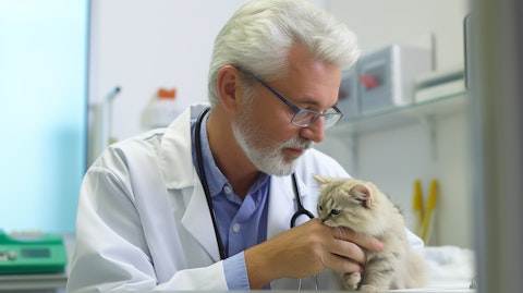 A veterinarian in a veterinary clinic examining a companion animal.