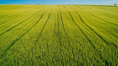 Aerial view of a vibrant wheat field, a representation of the fertilizers and crop nutrients this company provides.