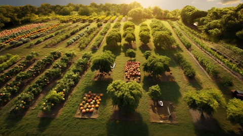 Aerial view of an orchard of different fruits, representing the abundance of the agribusiness.