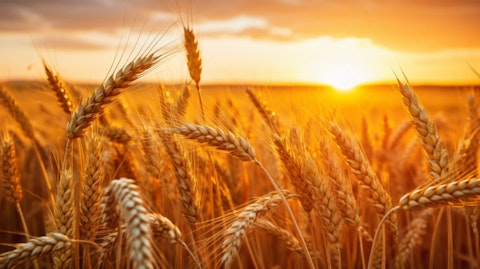 Top 15 Wheat Producing Countries in the World