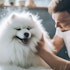 10 Best Pet Stocks to Buy According to Hedge Funds